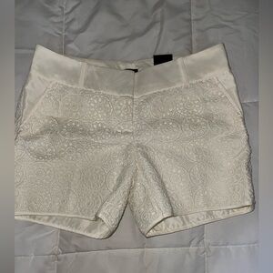 The Limited Women's Cream Ivory Crochet Lace Chino Shorts